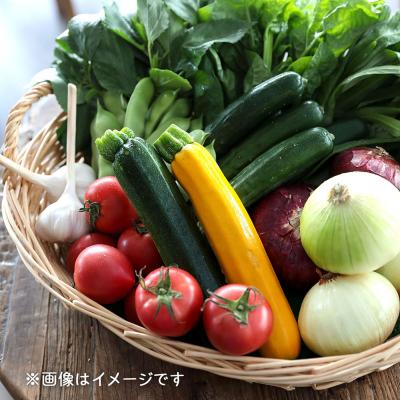 ふるさと納税 庄内町 【9/30受付終了】産直直送!庄内町季節の野菜と加工品セット 加工品 野菜 旬 セット |  | 01