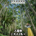 【ふるさと納税】沖縄県観光スポット「東南植物楽園」入園券＜大人2名＞【 体験 入場券 ペアチケット 大人2人 植物園 動物ふれあい 小動物 テーマパーク 植物 1300種以上 亜熱帯 熱帯 自然 遊び あそび 癒し いやし 観光 贈答 贈り物 ギフト 沖縄 】