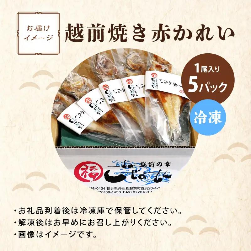 【温めるだけ！焼き調理済み】 国産干物  越前赤かれい 5尾  焼きカレイ 干物 干物 干物 干物 干物  [e15-a006]