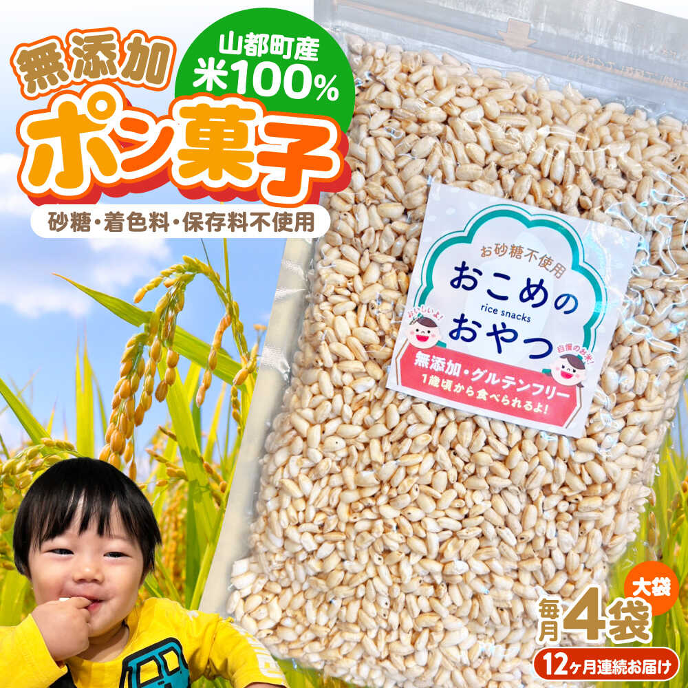 【ふるさと納税】【全12回定期便】おこめのおやつ大袋 4袋セット【株式会社キゴコロ】[YDZ013]