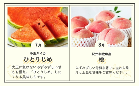 【6・8・10・12月 全4回】和歌山産 旬のフルーツ お楽しみ 定期便 【魚鶴商店】