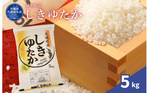しきゆたか 5kg 米 こめ コメ お米 おこめ シキユタカ コシヒカリ こしひかり 白米 精米 ごはん ご飯 令和7年産 茨城県 城里町 高萩市（茨城県共通返礼品・城里町産）