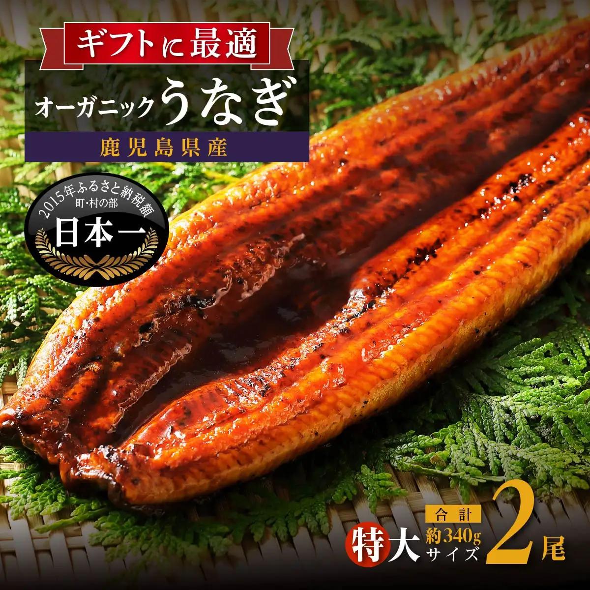 泰正オーガニック うなぎ 蒲焼　特大2尾　| うなぎ