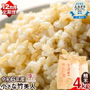 【ふるさと納税】【12か月定期便】令和6年産 小さな竹美人 玄米 4kg(2kg×2袋) 株式会社コモリファーム《お申込み月の翌月から出荷開始》