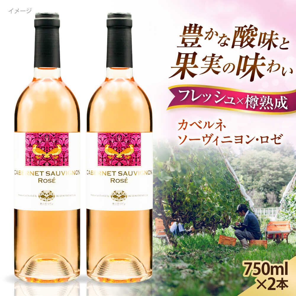 【ふるさと納税】ワイン 奥出雲葡萄園 カベルネソーヴィニヨン・ロゼ 2本セット 国産 ワイン セット 島根県雲南市/有限会社奥出雲葡萄園[AICS023] ロゼワイン 熟成 ワイン 国産 島根 ブドウ 葡萄 お酒 酒 フルーティー 贈り物 人気 おすすめ 低温発酵