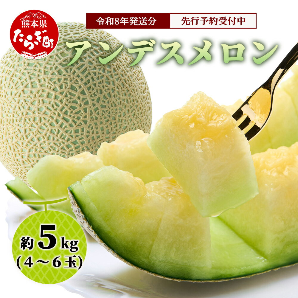 【ふるさと納税】《2026年発送分 先行予約》 アンデスメロン 4玉〜6玉 合計 約5kg アンデス メロン 甘い 果物 フルーツ 果実 ジュージー 国産 熊本県産 熊本県 多良木町 送料無料