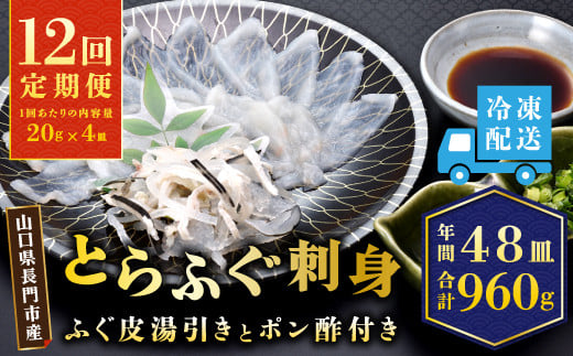 【定期便】とらふぐ刺身1人前×4皿×12回【ふぐ ふぐ刺し ふぐ刺身 フグ ふぐ皮 毎月4枚(1人前)×12ヶ月 定期便 海鮮 山口県 河豚 人気 国産 とらふぐ 板前 ポン酢 薬味 家族】