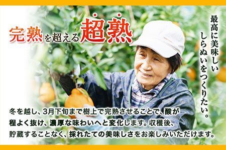 採れたて新鮮 濃厚な甘さ 超完熟しらぬい 5kg まるまつ農園《3月中旬-4月末頃より出荷》 和歌山県 日高川町 不知火 柑橘 しらぬい 完熟 （ デコポン と同品種）