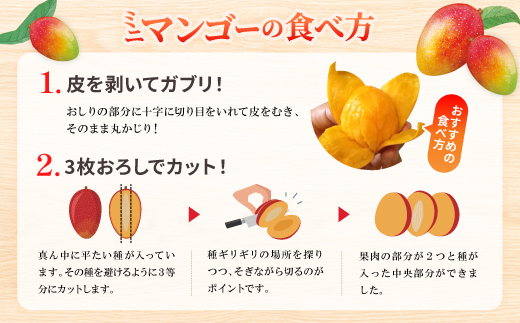 【2025年7月から順次発送】数量限定の訳ありミニマンゴー2kg【配送不可地域：離島】