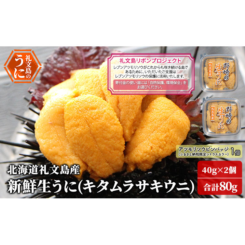 【礼文島リボンプロジェクト】北海道 礼文島産 新鮮生うに キタムラサキウニ 40g×2パック(ピンバッジ付)［野崎水産］【 うに ウニ 雲丹 生うに ムラサキウニ 自然保護 寄付 海鮮 】
