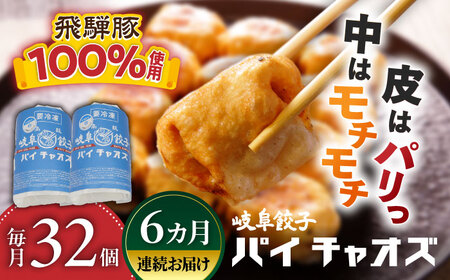 餃子 【6回定期便】 岐阜餃子32個入り [ANEY007] 餃子