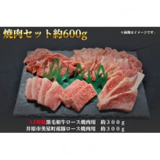 焼肉セット600g(2～3人用)A5等級 黒毛和牛ロース約300gと豚ロース約300g 岡山県産