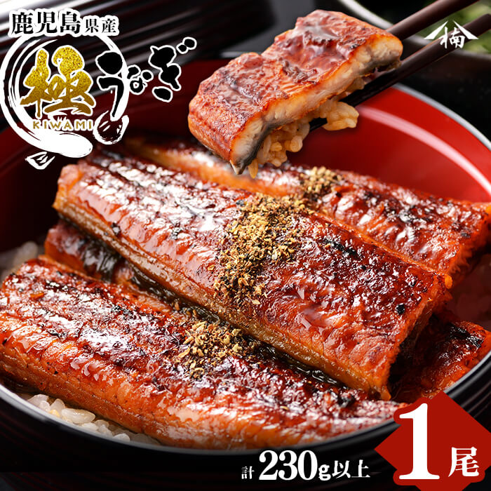 楠田の極うなぎ 蒲焼き 1尾(230g以上) 食べ応えのある大きな肉厚鰻