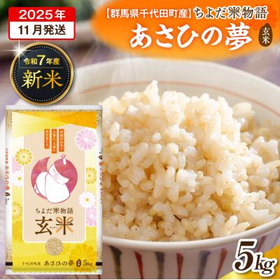 ふるさと納税 千代田町 2025年11月より発送【令和7年度産】あさひの夢 5kg×1袋 (玄米) ch049-004-11