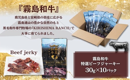 【年内お届け】【霧島和牛】ビーフジャーキー(10パック)≪2025年12月15日～31日お届け≫_MK-E901-HNY