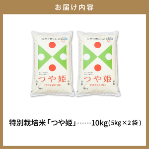 【令和6年産米】 ※2025年5月後半発送※　特別栽培米 つや姫10kg 山形県 東根市産 丸屋本店提供 hi008-010-053 2024年 令和6年産 山形 送料無料 東北 白米 精米 お米 こ