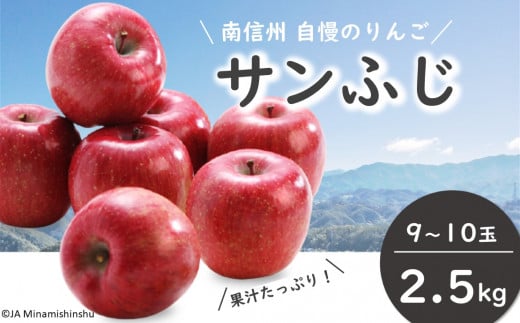 JA34-25A りんご サンふじ（小玉） 約2.5kg / 2025年11月下旬～12月上旬ごろ配送予定 // 長野県 南信州 贈答 ギフト お歳暮 ふじ フジ さんふじ 新鮮 林檎 リンゴ サンフ