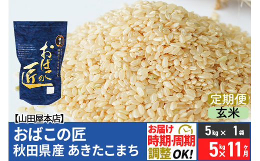 
【玄米】《定期便11ヶ月》令和5年産 おばこの匠 秋田県産あきたこまち 5kg×11回 計55kg 11か月 11ヵ月 11カ月 11ケ月 秋田こまち お米
