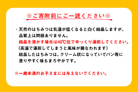 みかんはちみつ 320g 160g×2本セット《30日以内に出荷予定(土日祝除く)》 ミカン 蜜柑 蜂蜜 熊本県荒尾市産 純粋蜂蜜 木原養蜂園
