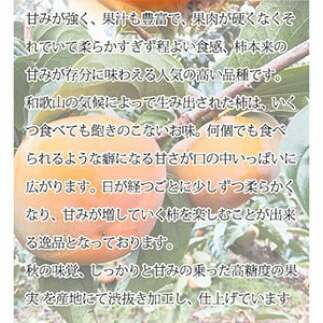 和歌山秋の味覚 平核無柿（ひらたねなしがき）約7.5kg ※2025年10月上旬～10月末頃に順次発送予定_イメージ3