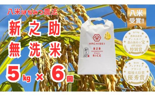【6か月定期便 無洗米 新之助】令和8年産 新米予約 阿賀野市産新之助「はちみつ農法」無洗米 合計30kg（5kg×毎月お届け全6回）農家直送 八米 | 新潟県産新之助 新潟産新之助 阿賀野産新之助 阿賀野新之助 しんのすけ お米 米 白米 精米 ブランド米 おこめ コメ むせんまい 5キロ 新米 定期便 頒布会 HACHIBEI あがの 新潟県 阿賀野市 1L21087