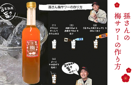 孫さんの紀州南高梅 梅シロップ 500ml×5本 イクス産業《30日以内に出荷予定(土日祝除く)》和歌山県 紀の川市 梅 シロップ