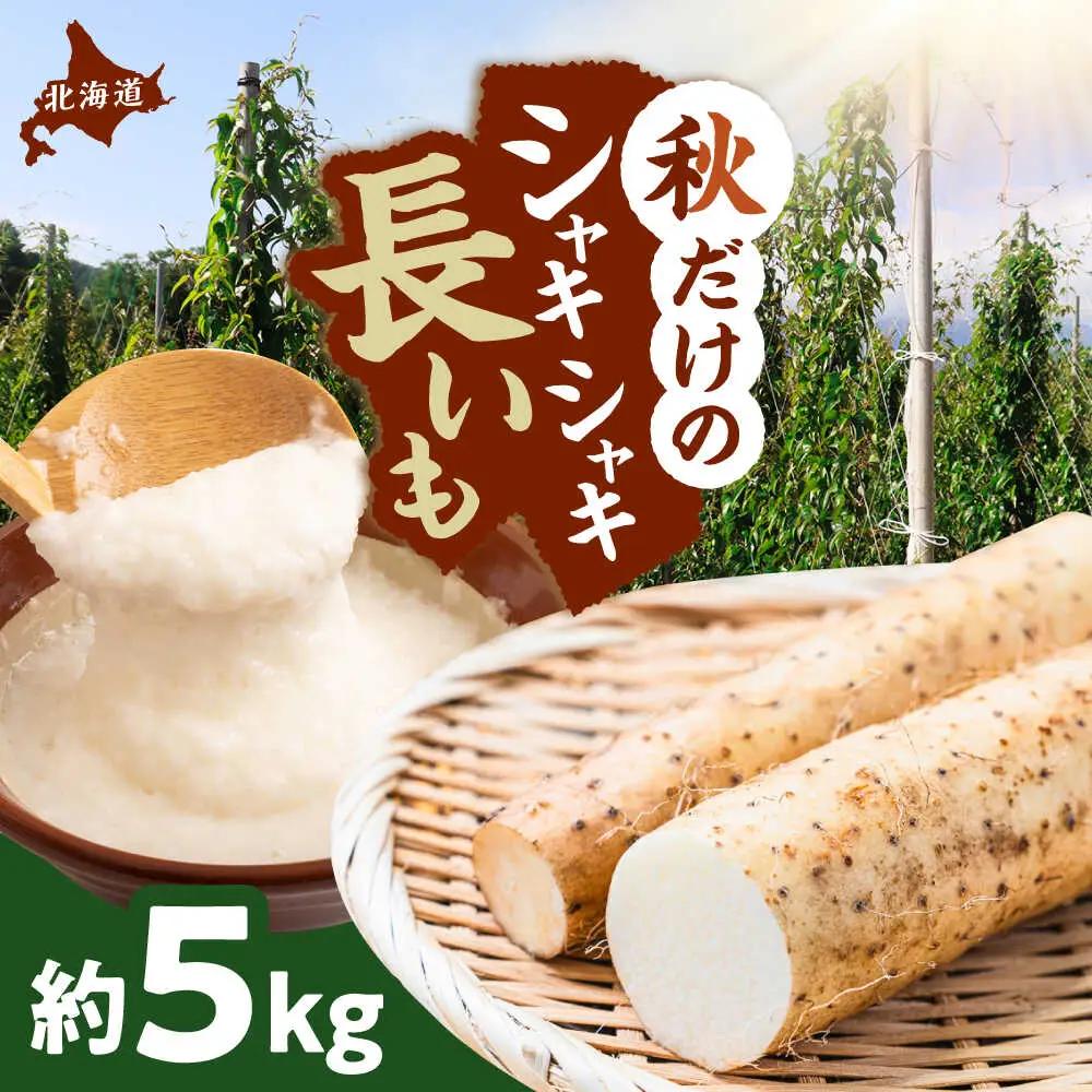 【2026年11月下旬以降順次発送】秋掘り 長いも 5kg  |  長いも 秋野菜 野菜 やさい 北海道 産地直送 |  道の駅 真狩フラワーセンター[BPAM026]