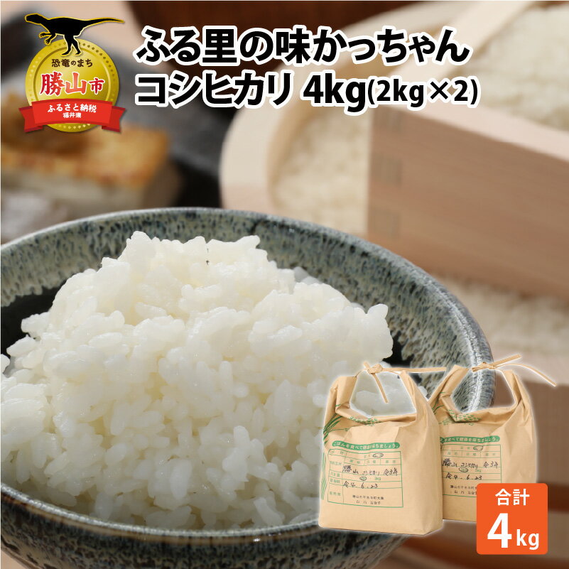 【ふるさと納税】令和7年産 コシヒカリ 4kg |米 お米 おこめ おコメ こしひかり 4キロ