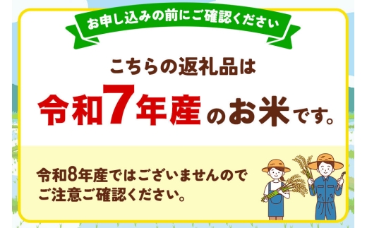 米 極上秋田年貢米 あきたこまち 横手湯沢地域 10kg 令和7年産 秋田県産 [米 お米 こめ 白米 精米 ご飯 ごはん 米どころ 秋田県産 5kg袋 あきたこまち]