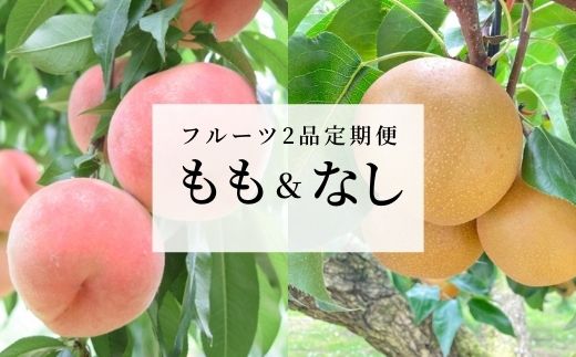 【ふるさと納税】No.1633フルーツ2品定期便 もも・なし各約2kg【2025年発送】