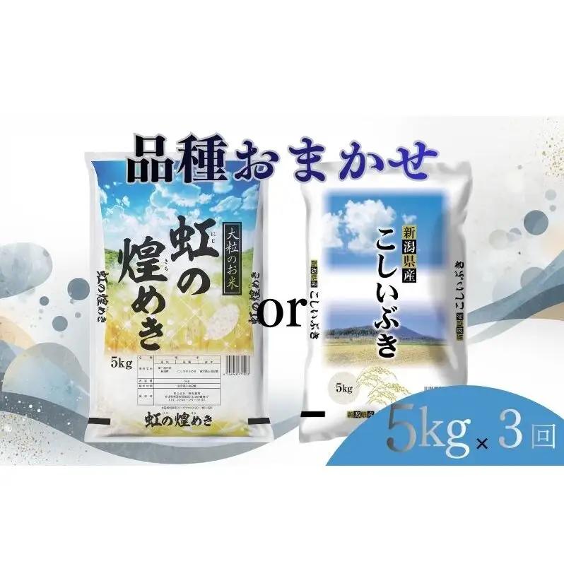 【6月下旬より配送】 新潟県産 品種おまかせ 5kg  3か月定期便 新潟県 新潟市産 令和7年産 お米 精米 米 ご飯 送料無料