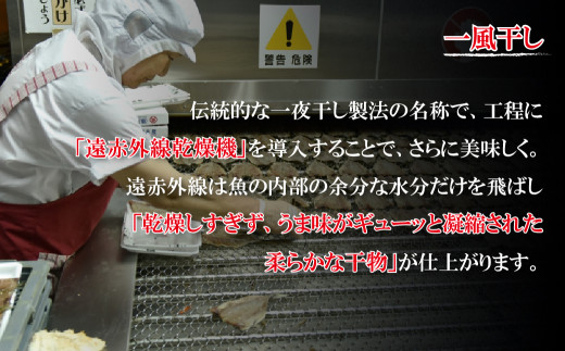 [A245a］ 長崎 ひもの ｢出島｣ 長崎産 干物 あじ 開き 干物 いか スルメイカ 干物 かれい 干物 カレイ 干物 鰈 サバ 鯖 干物  津田水産　長崎県 佐世保市