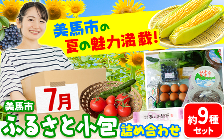 ふるさと小包詰め合わせ7月 約9種セット 美馬市ふるさと小包推進協議会《7月上旬-7月下旬頃出荷》詰め合わせ詰め合わせ詰め合わせ st-p
