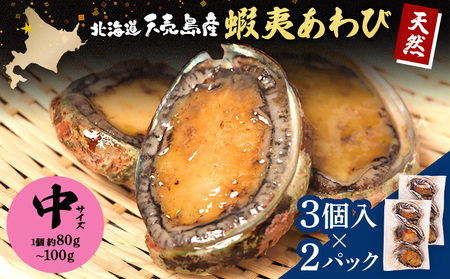 【北海道】天売島産 天然蝦夷あわび 中サイズ 3個入×2パック (1個 約80g～100g)【02170】