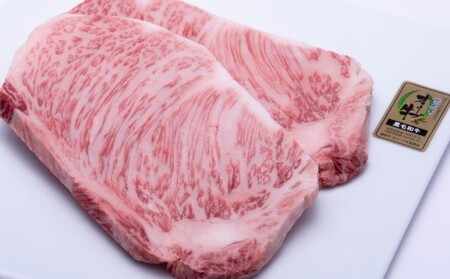 オリーブ牛 ヒレ ロース ステーキ 牛肉 オリーブ牛【ヒレ3枚500g ロース2枚500g】