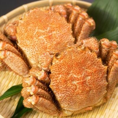 ふるさと納税 根室市 ボイル毛蟹450g前後×2尾 C-66013
