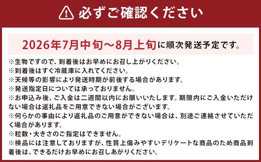摘みたてフレッシュブルーベリー 約1.2kg