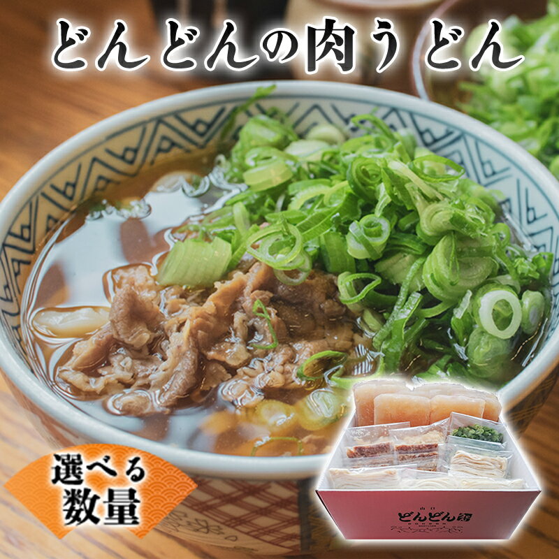 【ふるさと納税】うどん 選べるセット どんどん ふるさと萩の味 肉うどん 麺類 肉 牛肉 冷凍