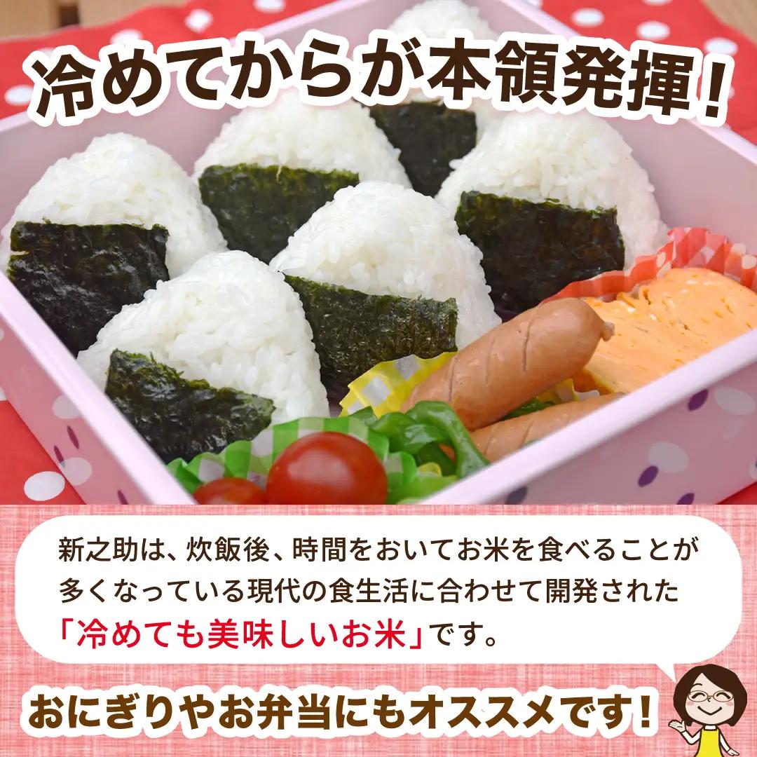 令和8年産 佐渡島産 新之助 玄米15kg