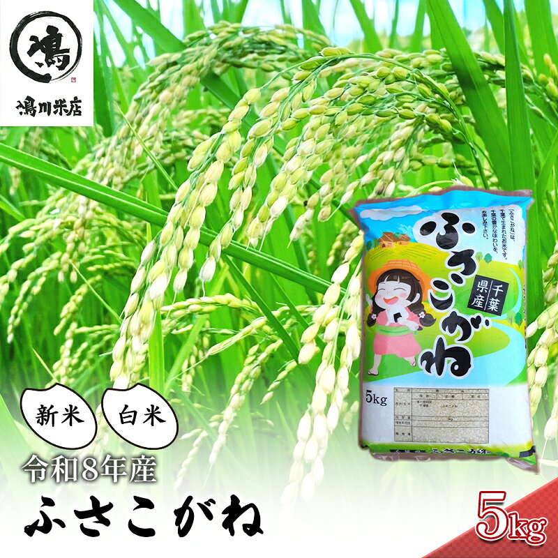 【ふるさと納税】【令和8年産】ふさこがね 白米5kgお米千葉県　お届け：2026年8月10日から