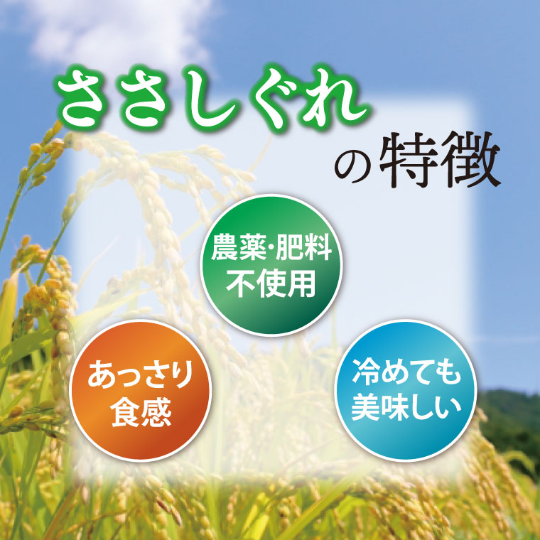 ★令和7年産★ ささしぐれ 10kg (精米5kg・玄米5kg) (DE009)