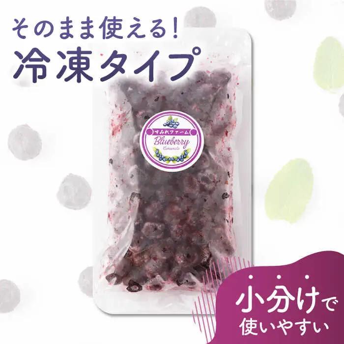 【12回定期便】大粒 冷凍ブルーベリー 約2000g（約500g×4pc）【すみれファーム】果物 フルーツ くだもの 大粒 小分け 熊本県産ブルーベリー [ZEP018]