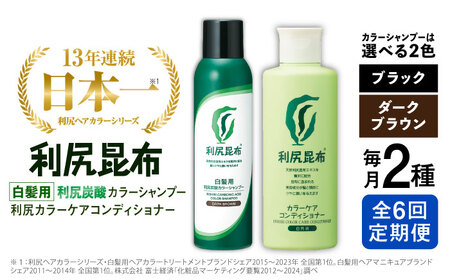 【全6回定期便】【色が選べる！2本セット】［白髪用］利尻炭酸カラーシャンプー＋利尻カラーケアコンディショナー 糸島市 / 株式会社ピュール ヘアケア コンディショナー[AZA060]