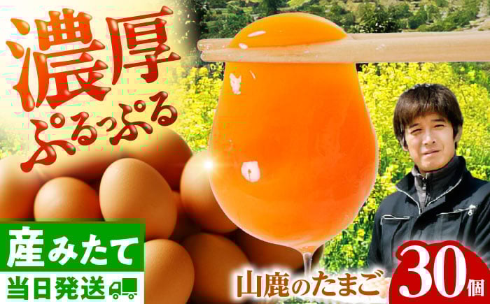 
            たまご 30個 約2kg【マツヤマエッグファーム】 [ZAW003]
          