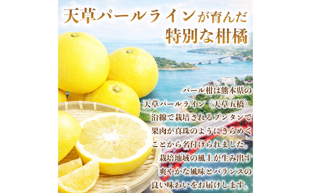 パール柑 約5kg