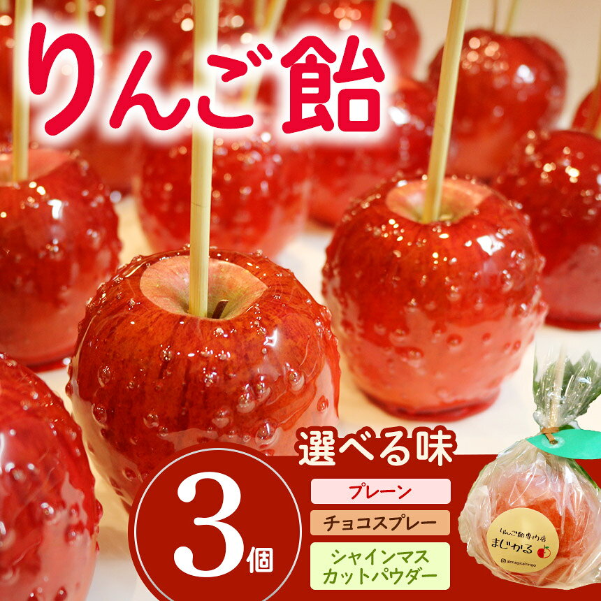 【ふるさと納税】選べる味 りんご飴専門店まじかる りんご飴A～Dセット | リンゴ 林檎 お祭り スイーツ りんごあめ リンゴアメ 愛知県 武豊町│りんご飴専門店まじかる