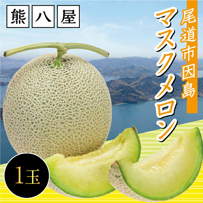 【ふるさと納税】「熊八屋のマスクメロン」1玉入 2025年10月発送 | メロン　フルーツ 果物 ギフト プレゼント 先行受付 送料無料 人気 おすすめ 広島県 尾道市