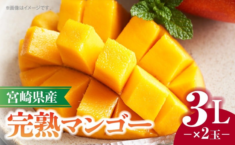 
                  《2026年発送先行予約》【数量・期間限定】宮崎県産完熟マンゴー 3L×2玉｜ 宮崎マンゴー 完熟 完熟マンゴー マンゴー 果物 フルーツ くだもの デザート スイーツ 旬 季節もの 果肉 果汁 2個 甘い 芳醇 南国フルーツ 南国 特産品 名物 宮崎グルメ ご当地グルメ グルメ ギフト 贈り物 贈答 糖度12度 プレゼント 3L 2玉 数量限定 宮崎県産 宮崎県 宮崎市 宮崎｜_M320-006
                