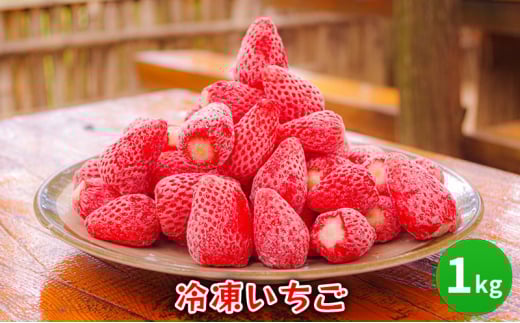 【ふるさと納税】 冷凍 いちご  1キロ 冷凍品 アイス 夏 苺 イチゴ ストロベリー 果物 スイーツ おやつ 冷たい 食品 ギフト  ふるさと納税 ふるさと 人気 おすすめ 送料無料 兵庫県 三田市 [3d28bae310006]