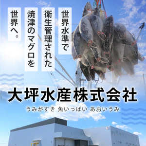 a11-042　まぐろ 中トロ ねぎとろ 焼津 マグロ 詰合せ セット S3